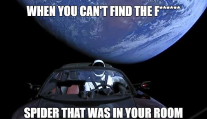 Vesmírem létá muskovit Tesla