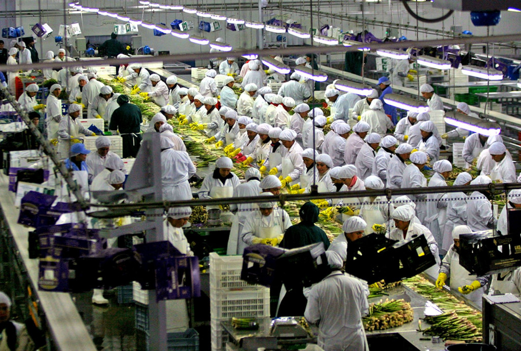 Spojené státy Americké zůstávají primární destinací pro export peruánského zemědělství