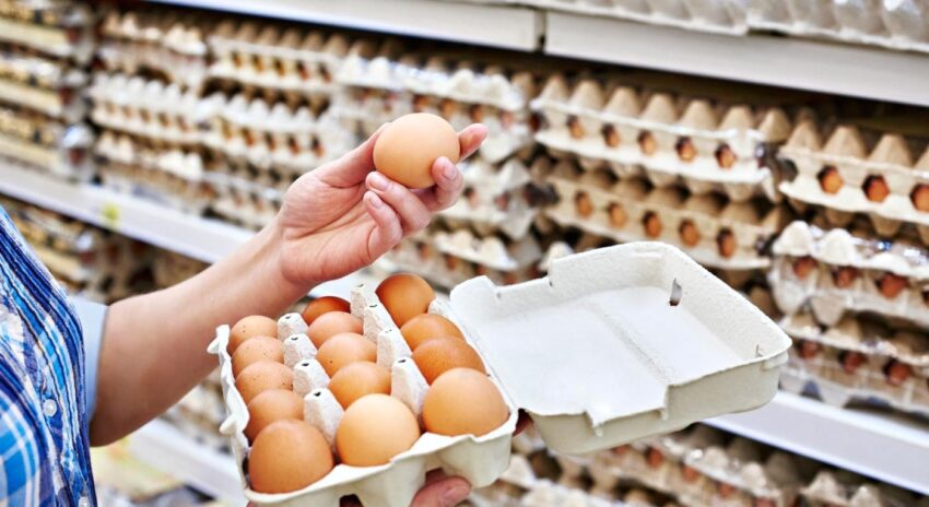 Ceny vajec v EU v lednu stouply o 30 %. Portugalsko zaznamenalo nárůst o 46 %