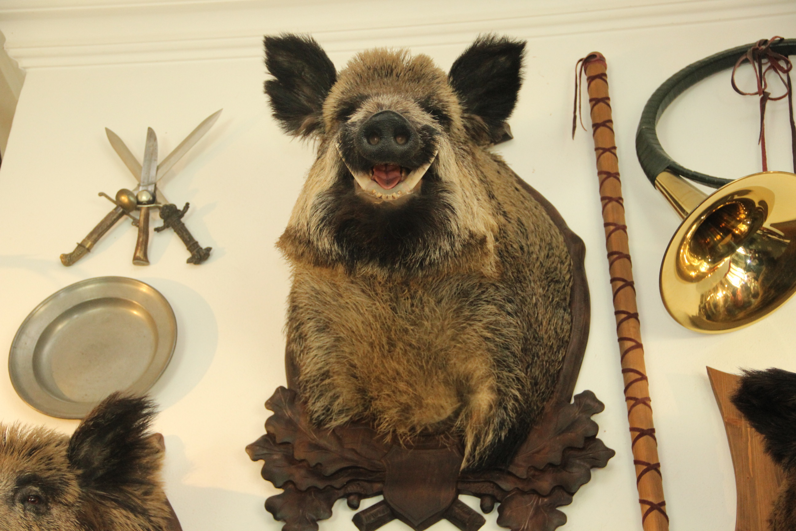 CORE4POWER s.r.o. , Praha IČO 23831090