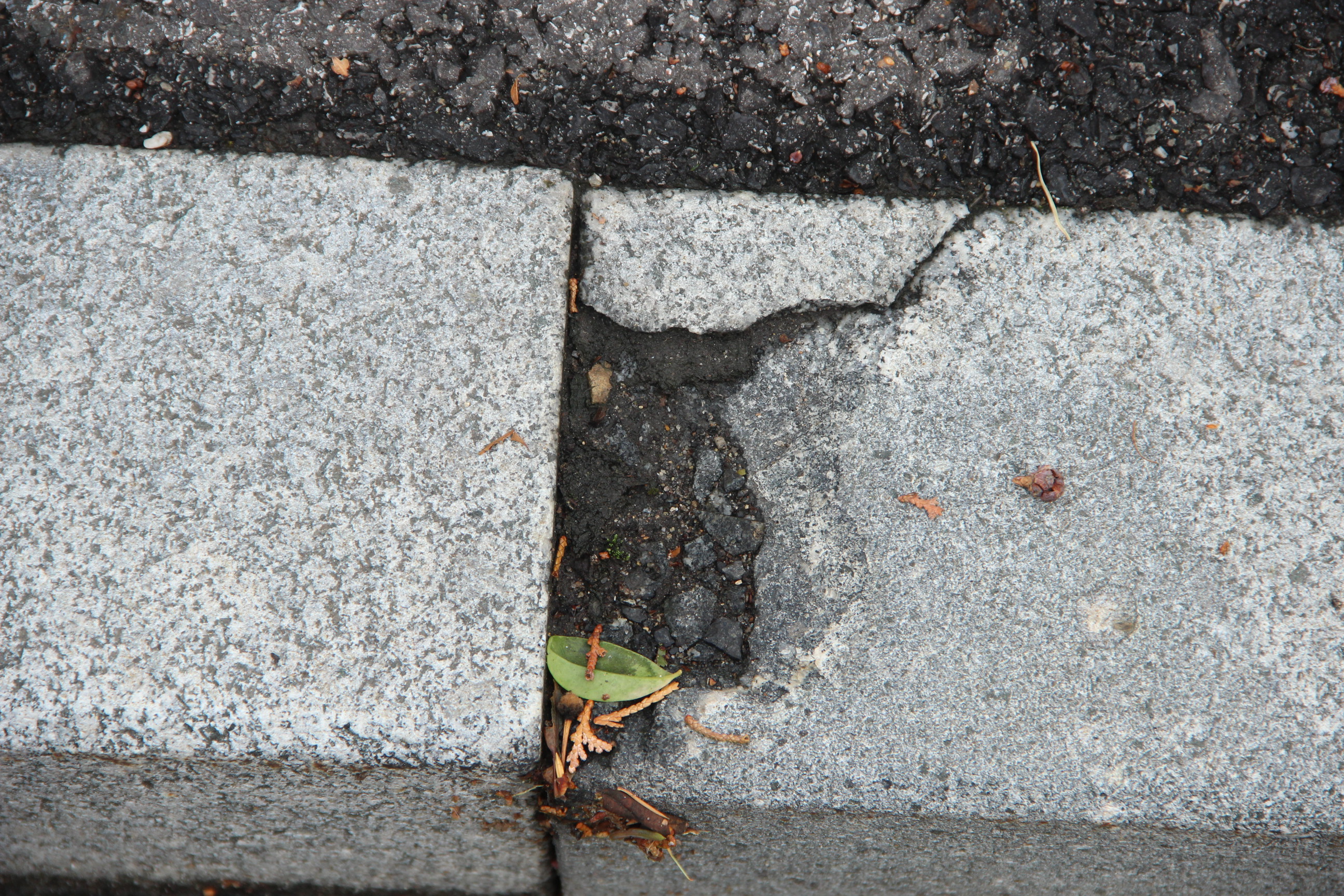 All in one solutions s.r.o. , Praha IČO 25858505